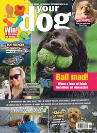 Titelbild der Ausgabe 9/2026 von Your Dog UK. Diese Zeitschrift und viele weitere Reisemagazine, Freizeitmagazine und Wissensmagazine als Abo oder epaper bei United Kiosk online kaufen.