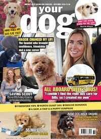 Titelbild der Ausgabe 11/2026 von Your Dog UK. Diese Zeitschrift und viele weitere Reisemagazine, Freizeitmagazine und Wissensmagazine als Abo oder epaper bei United Kiosk online kaufen.