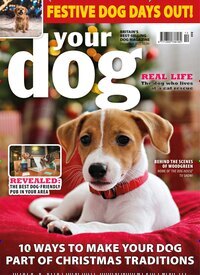 Titelbild der Ausgabe 12/2025 von Your Dog UK. Diese Zeitschrift und viele weitere Reisemagazine, Freizeitmagazine und Wissensmagazine als Abo oder epaper bei United Kiosk online kaufen.